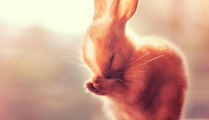 黑龙江球员积极训练备战关键战役