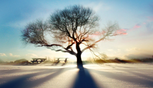 俄超劲旅将在关键战役中争取胜利